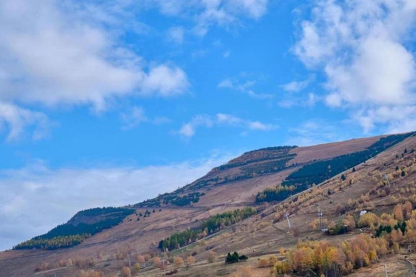 Coeur des Ours B N°01 - 3P6 - foto 24