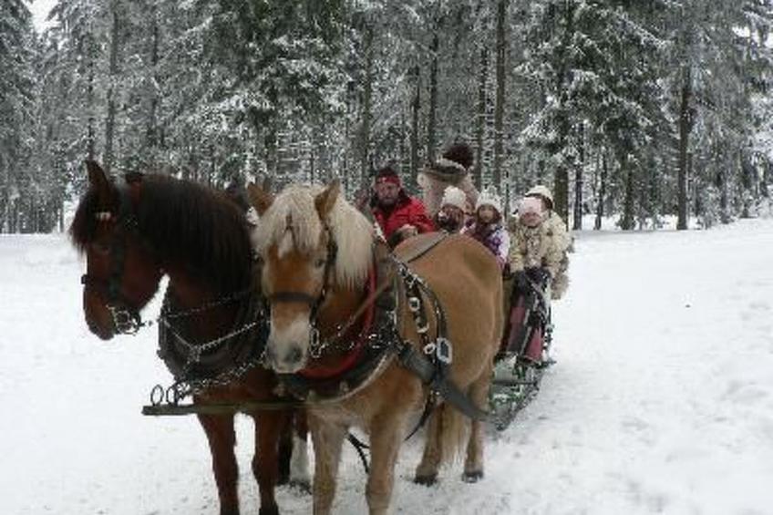 für 6 Personen im Thüringer Wald - foto 26