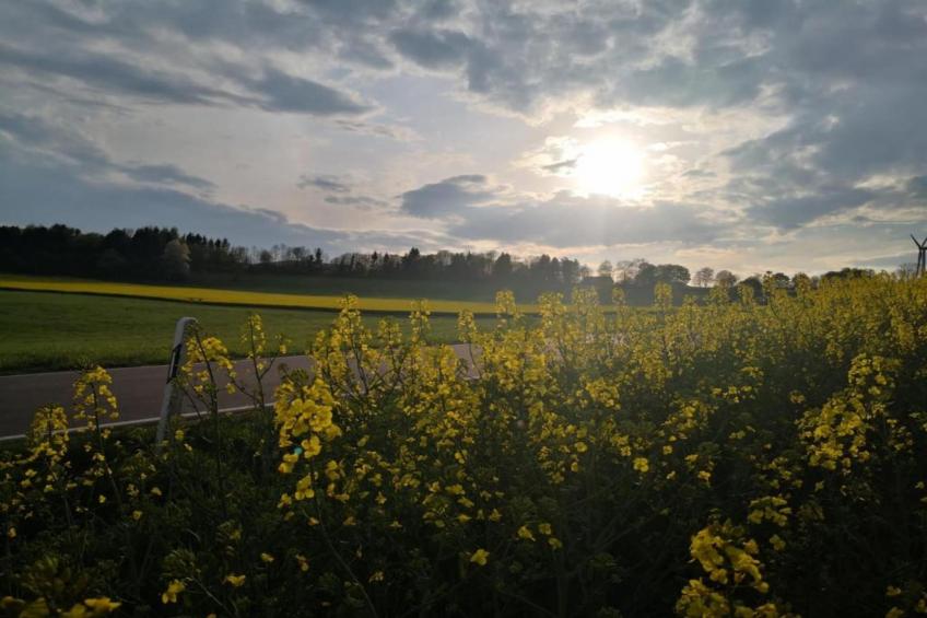 Feriendorf Reinskopf - foto 10