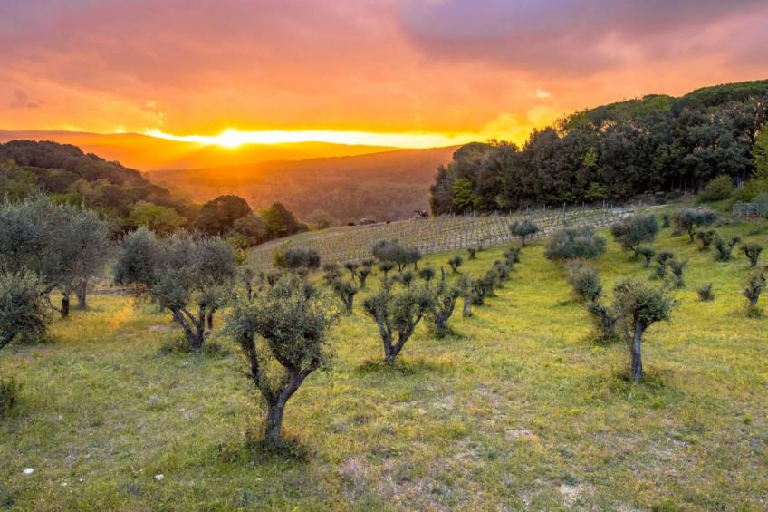 Chianti Wine Site Apt Private Balcony - foto 25