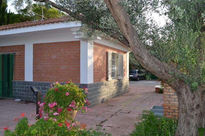 direkt am Strand - foto 8