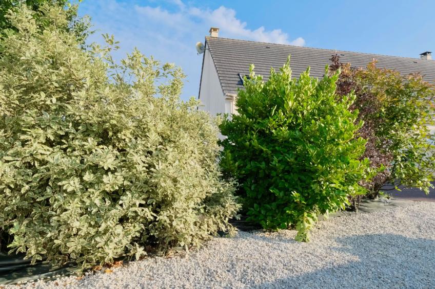 Haus "L'Oyat" mit Garten und Plancha - foto 34