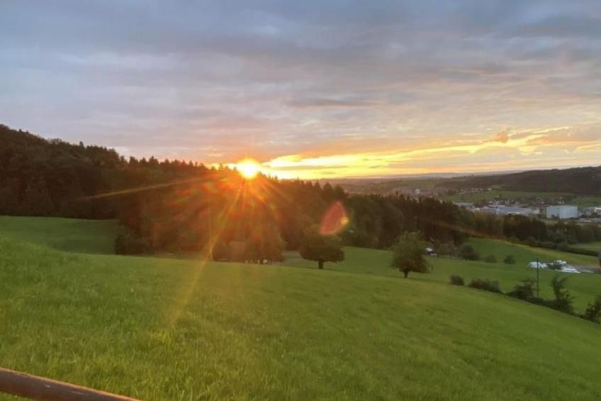 3 Zi - Ferienwohnung - foto 5