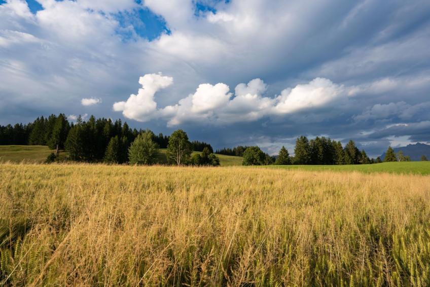 Speerblick - foto 25