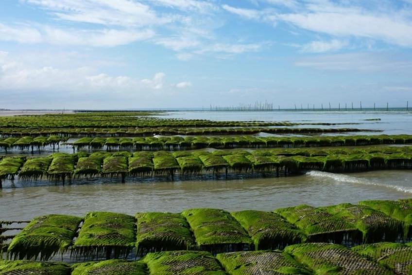 "Garence" mit eigener Terrasse - foto 37