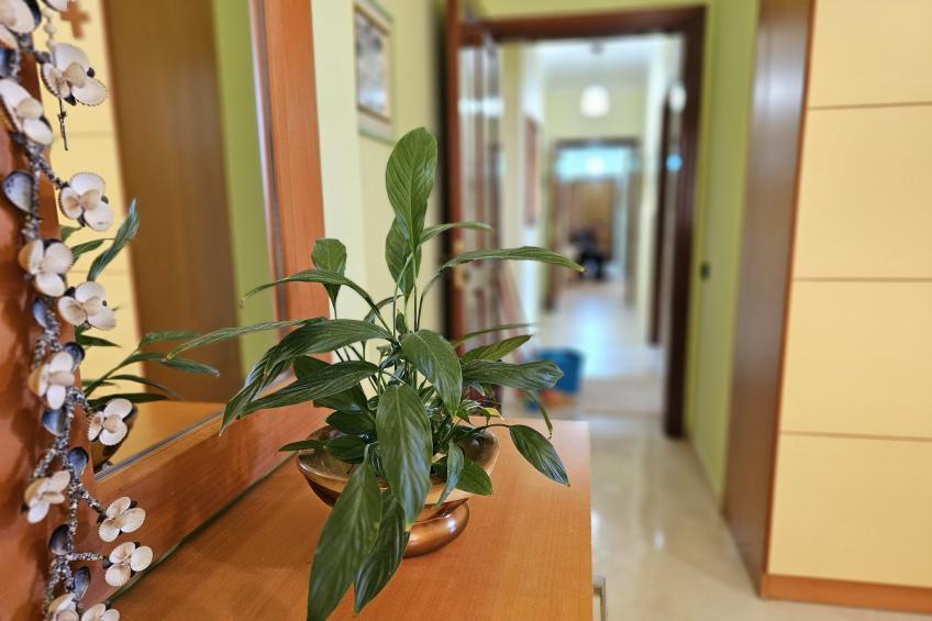 Geard Apartment - foto 23
