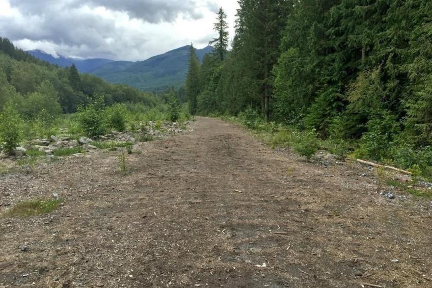 Gemütliche Hütte mit Whirlpool und haustierfreundlich - foto 22