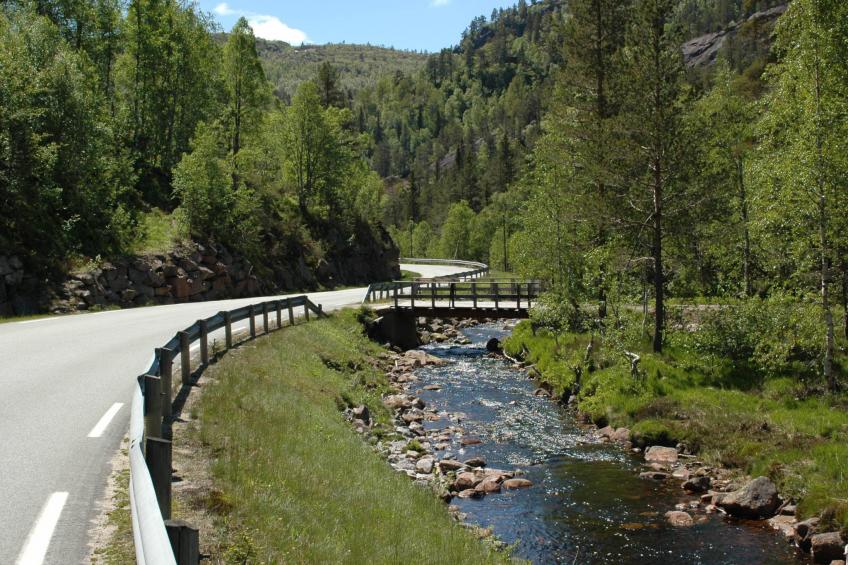 Knodden (SOW180) - foto 43