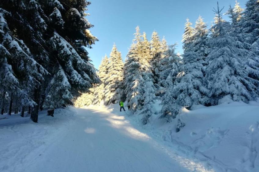Thüringer Wald - foto 25