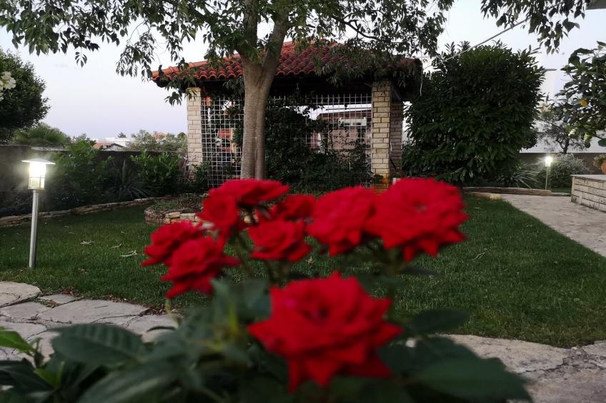 Apartments Snježana Carev  - Studio Apartment with Terrace A-1 - foto 25