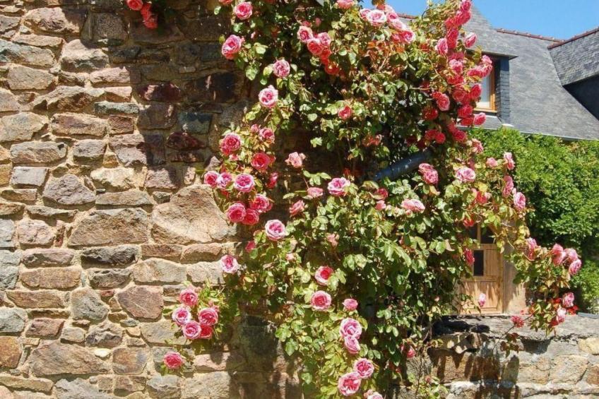 Wunderschönes Haus mit Garten in Lézardrieux - foto 29