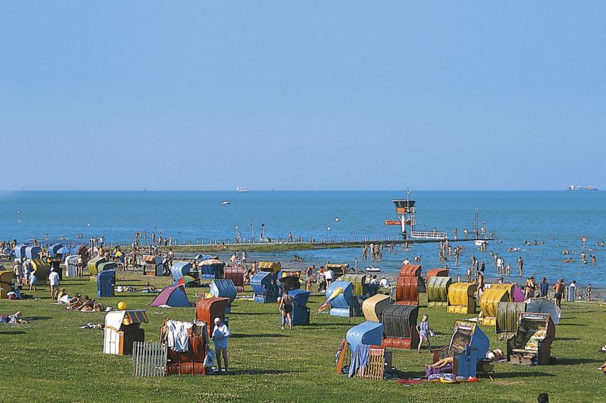 Gut Groß Fedderwarden, Fewo Mettje - foto 15