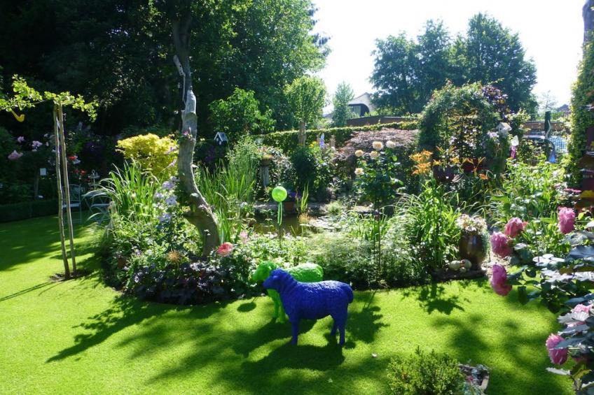 52384 - foto 4