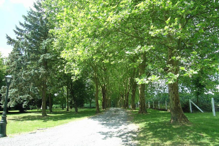 Domaine De L'Ecureuil 3 - foto 19