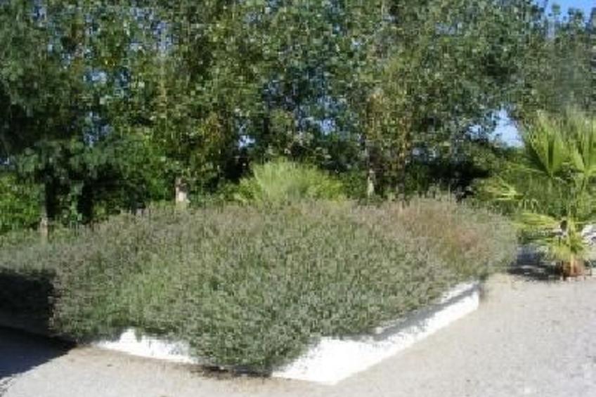 Schönes Ferienhaus Assione mit Pool - foto 31
