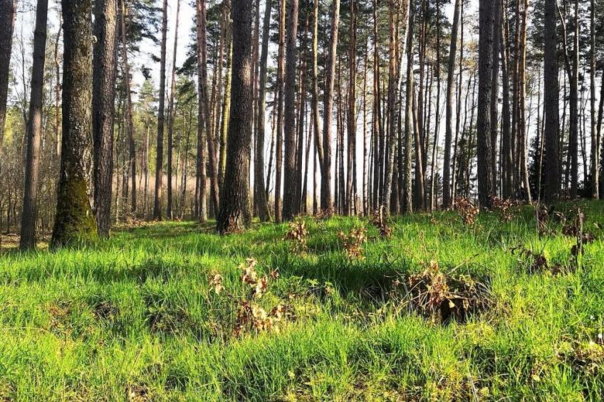 "Ferienhaus GolczaVita" - foto 23