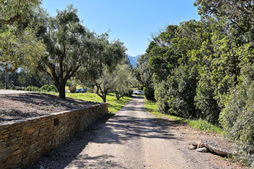 Weingut Punta della guardia zwischen Meer und Gebirge - foto 18