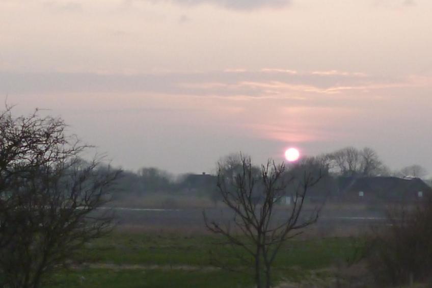 Wohnung in einem reetgedeckten Friesenhaus aus dem Jahr 1860 - foto 22