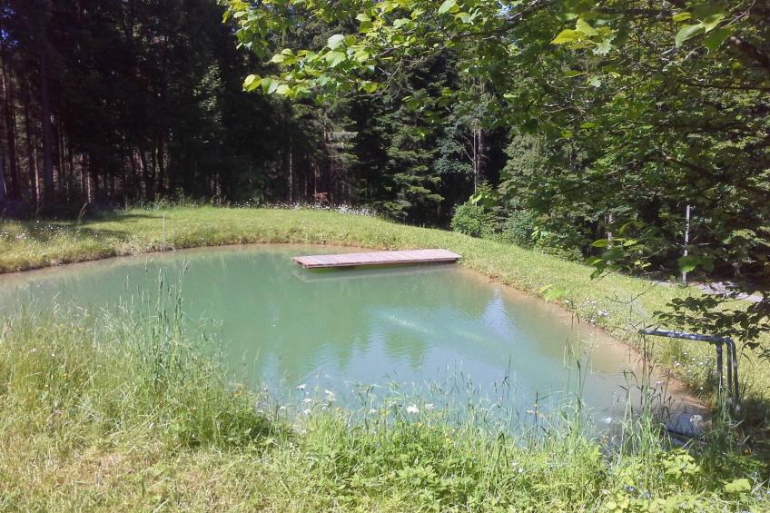 Ausgebaute Scheune - foto 5