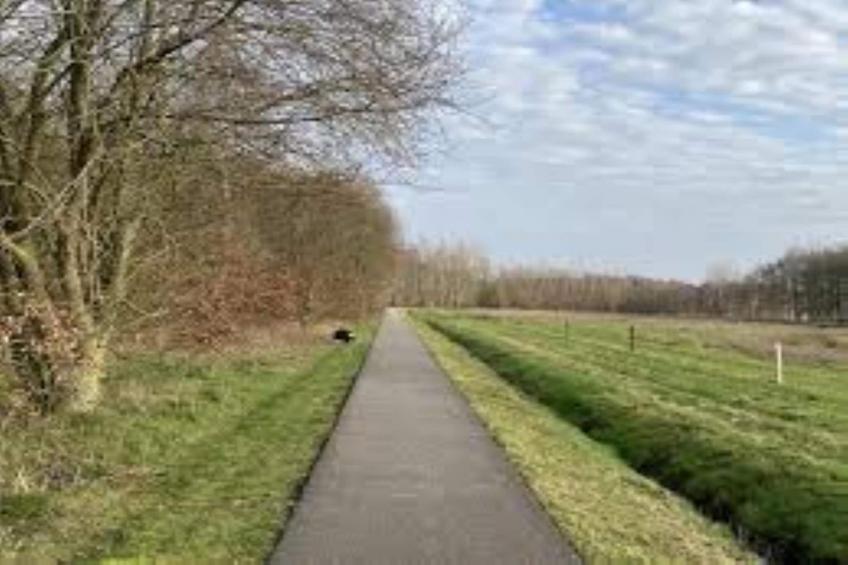 Vogelspotlodge Scholekster - foto 20