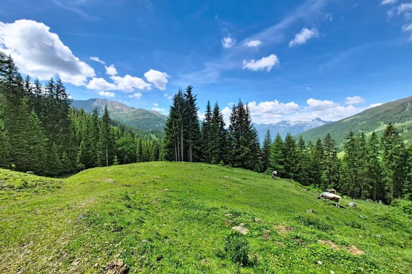 Naviser Hütte - foto 63