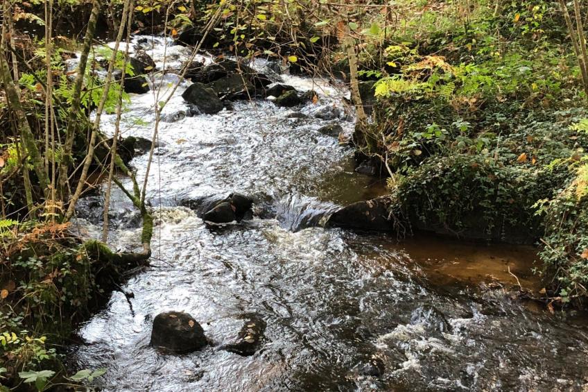 direkt am Strand - foto 32