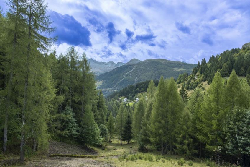 Residence gli Scoiattoli - foto 26