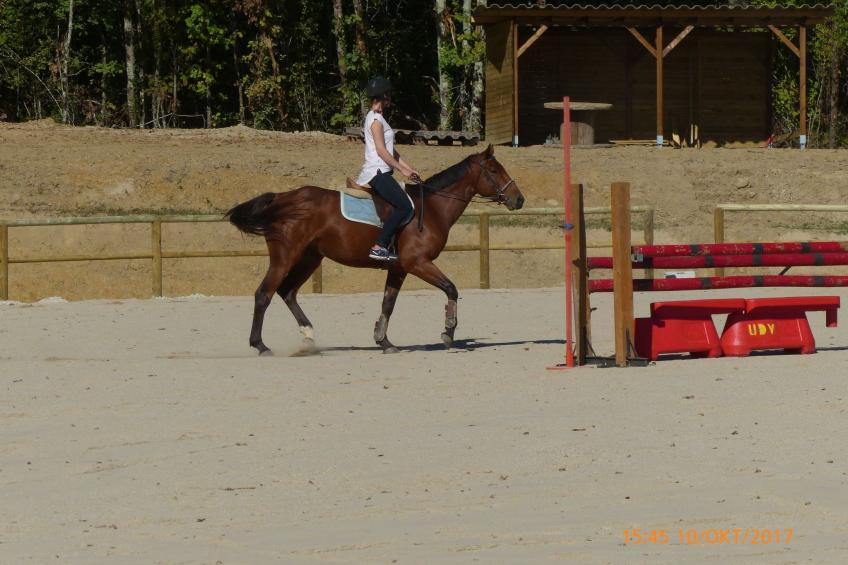 La Ferme des Paons - foto 24