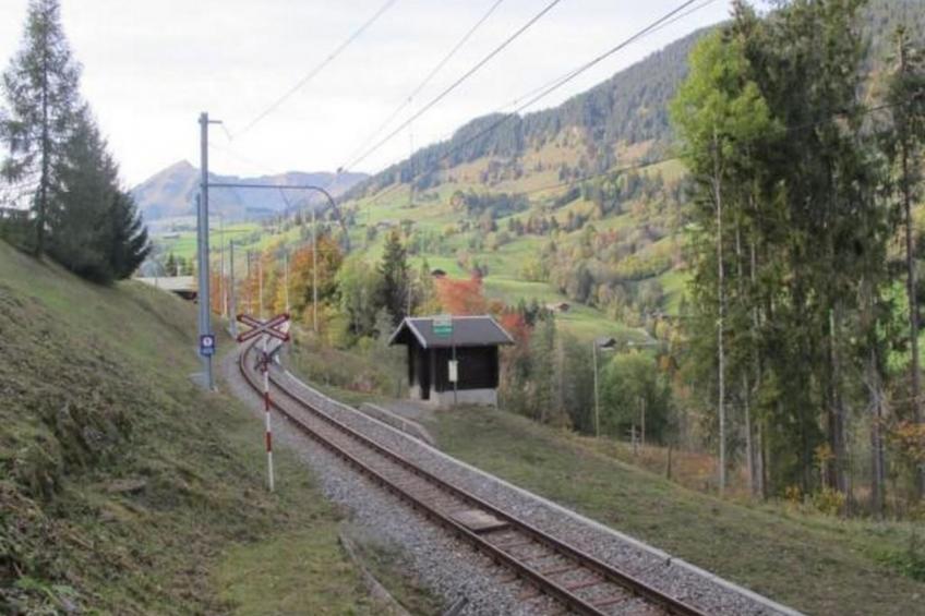 Authentisches Schweizer Alpenchalet aus dem 18. Jh. - foto 47