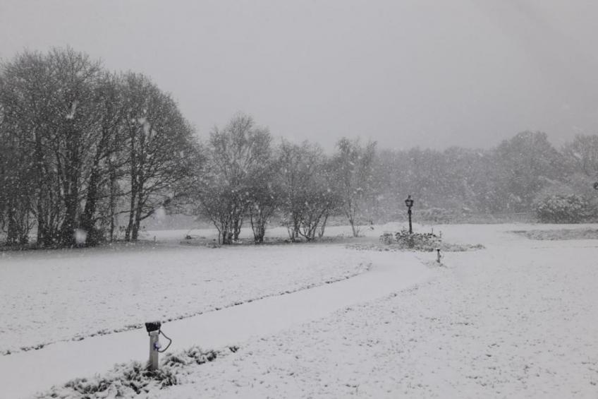 Parc de Kievit 17 - foto 38