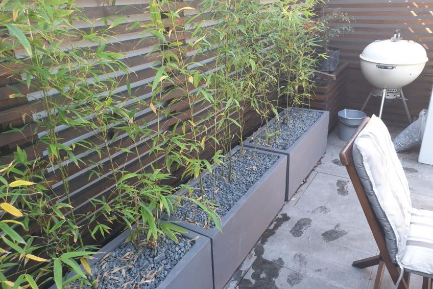 Kleines Ferienhaus in Deurdrif mit Privatem Garten - foto 28