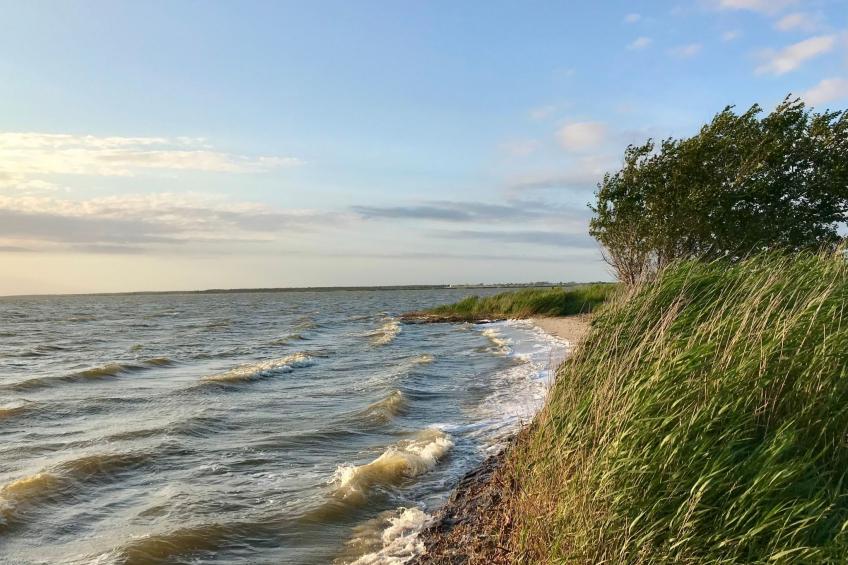 Wiesenblick 2 - foto 25