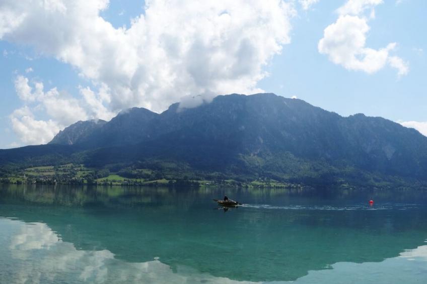 610 - foto 29