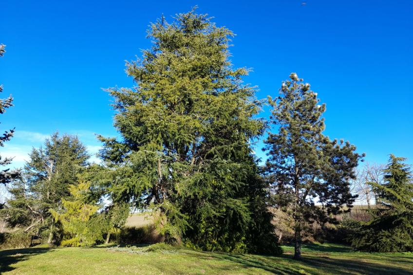Charmantes Haus in der Auvergne - foto 14