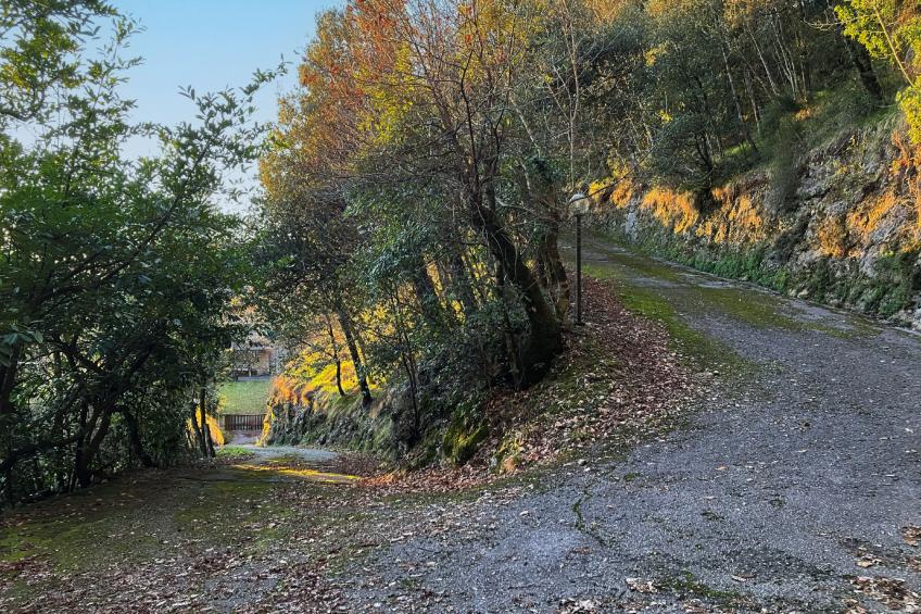 Casa dei Nonni - foto 26