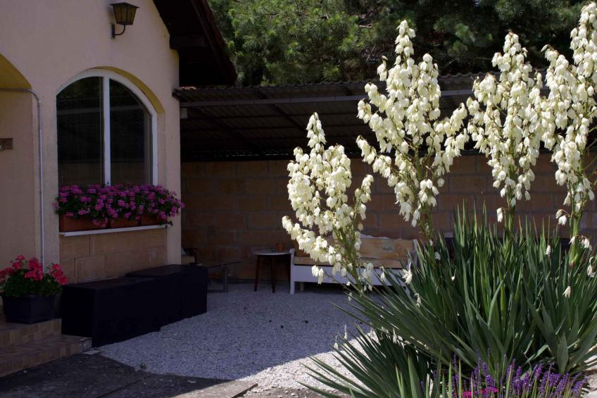 Holiday apartment with garden and balcony - BF-NJZN - foto 11