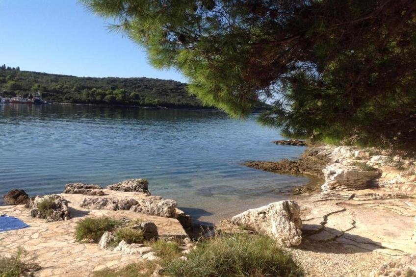 Holiday Home Dolinka with Private Pool - foto 33