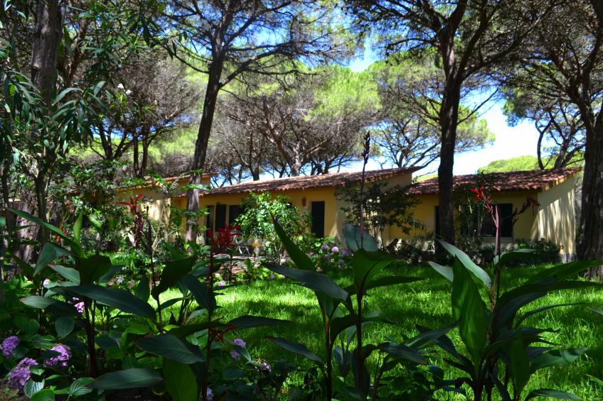 1 Ala Birdi Cottage 150m From The Beach - foto 31