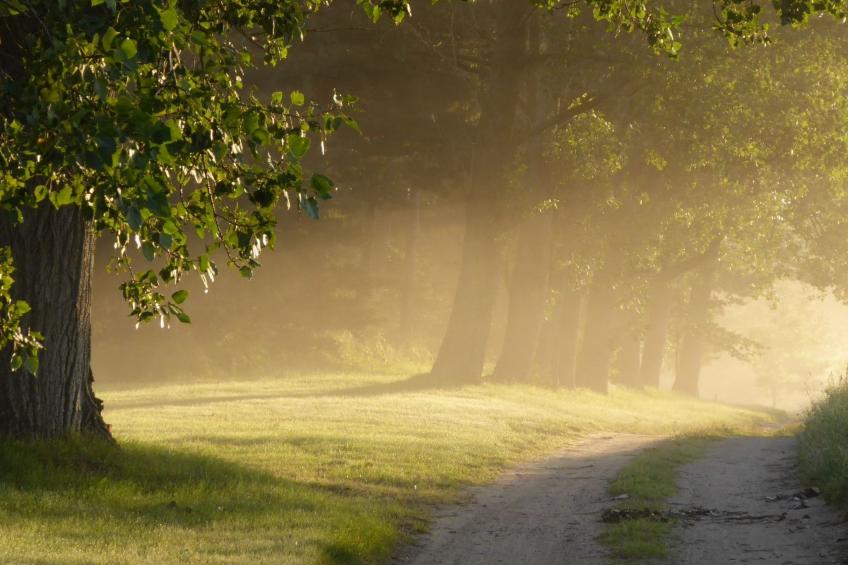 Hochwertige Ferienwohnung in Gingst - foto 43