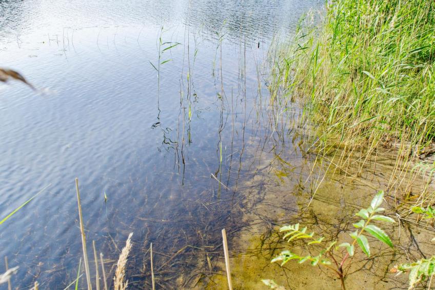 Käränkkä - foto 29