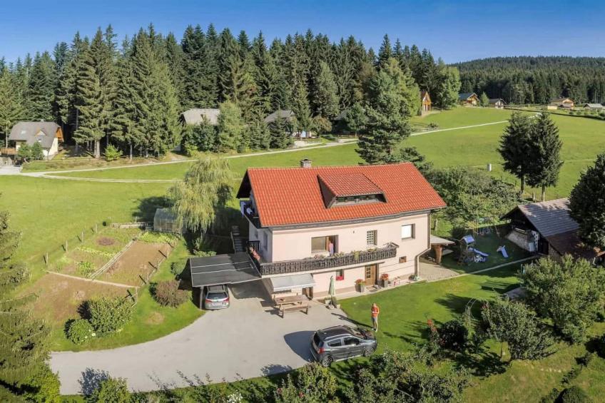 Comfortable Zreče Apartment with Playground and Private Parking, Ideal for Families - One Bedroom Apartment - foto 28