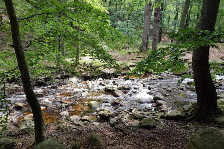 Haus Buchberg - foto 20