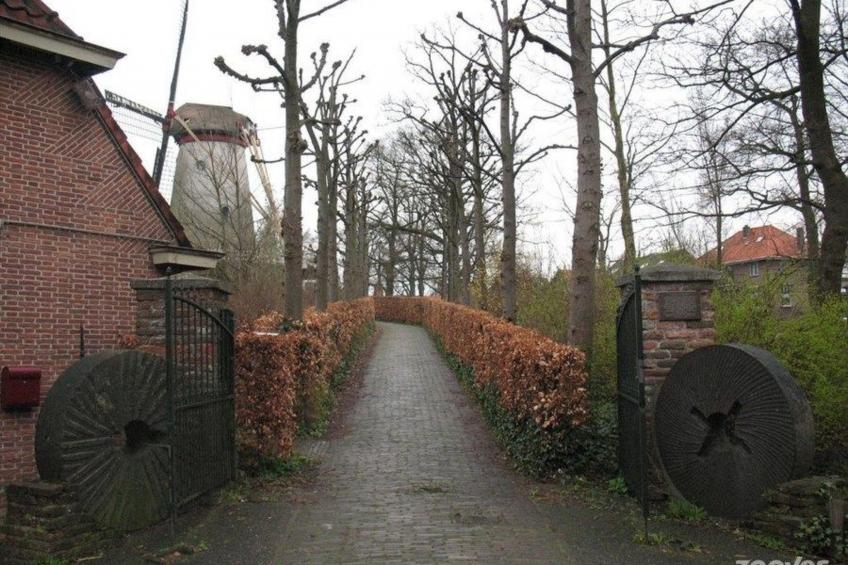 in Rhenen bei Grebbeberg und Wald - foto 15