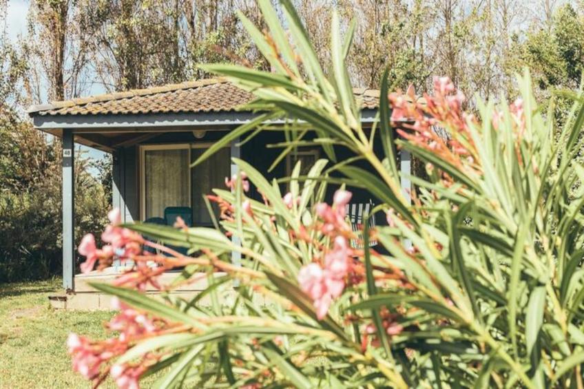 Terres de France - Hameaux des Marines - foto 8