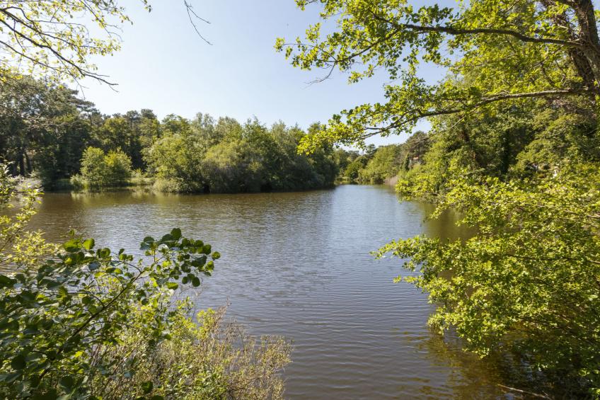 Parc de la Résidence - foto 43