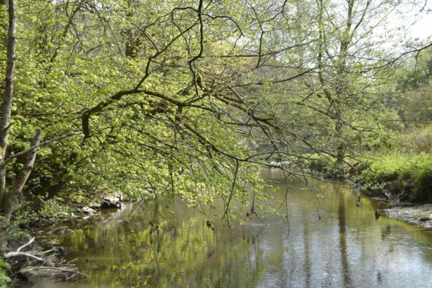 De woelige stal - foto 37