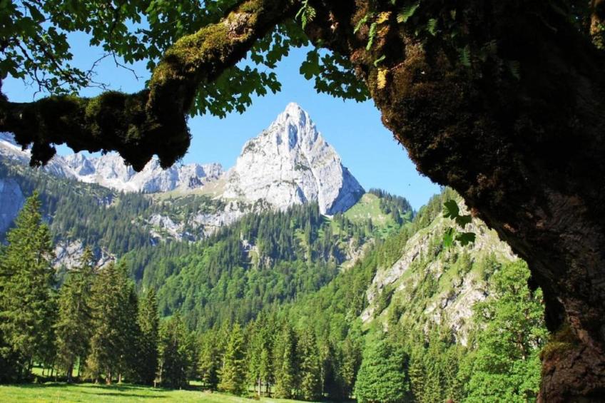 Haus Bergblick - foto 34