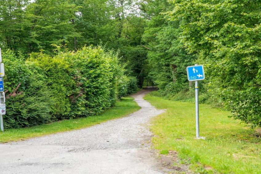 Combles de l'atelier - foto 32