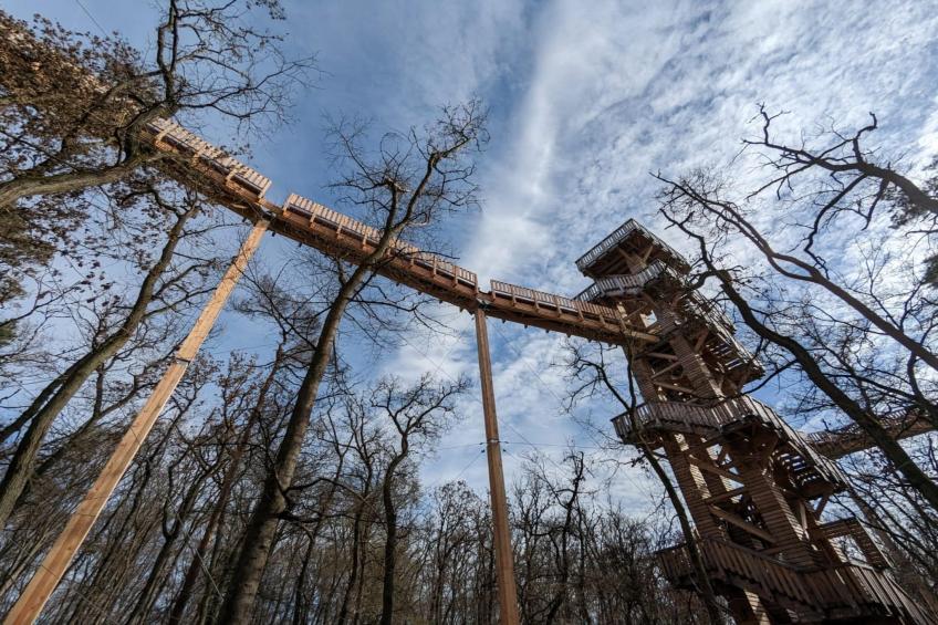 Apartment Bad Camberg - foto 24