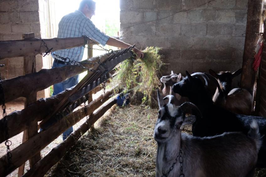 Das Landgut "Corte Canale Virgilio" mit Balkon - foto 43